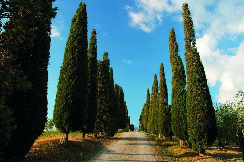 Le Traverse Pienza Exterior foto